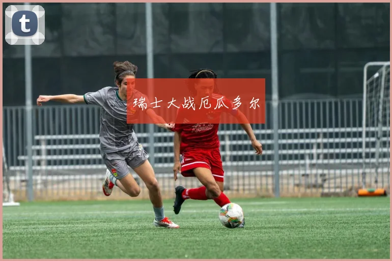 瑞士大战厄瓜多尔