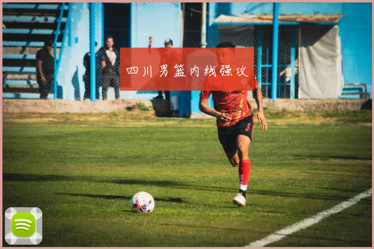 四川男篮内线强攻