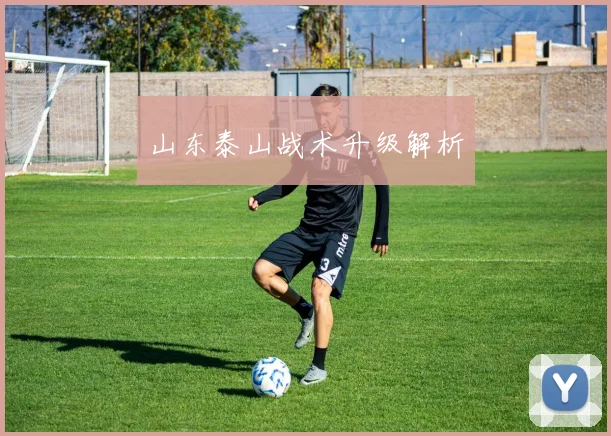 山东泰山战术升级解析