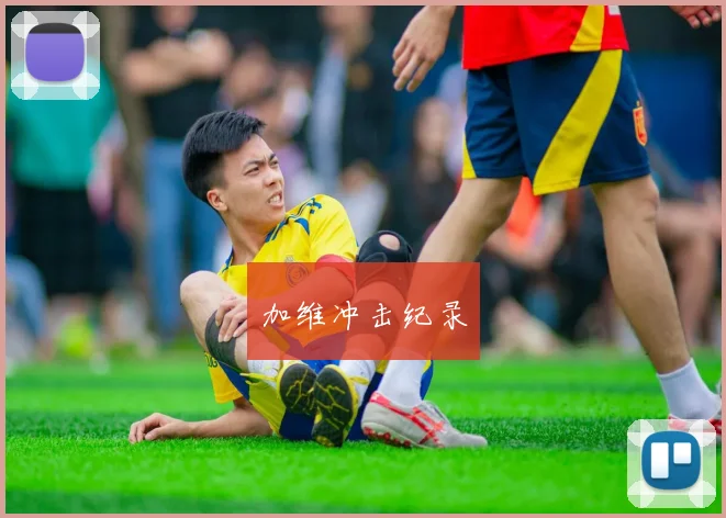 加维冲击纪录
