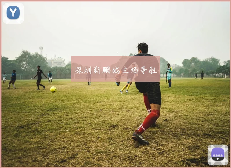 深圳新鹏城主场争胜