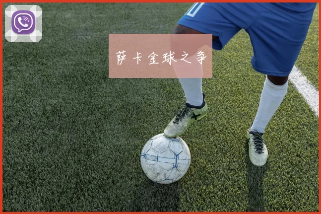 萨卡金球之争