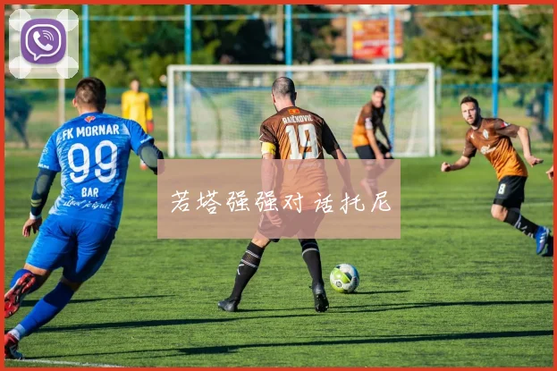 若塔强强对话托尼
