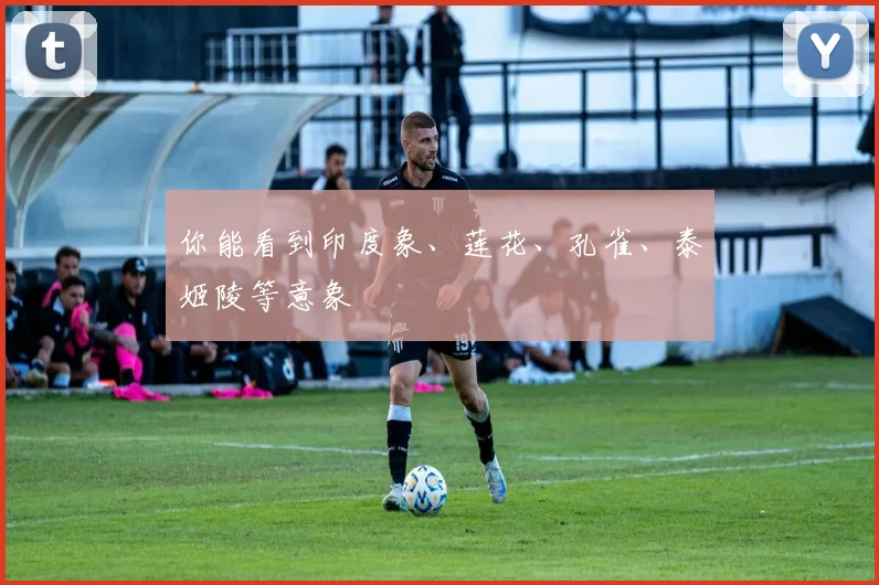 你能看到印度象、莲花、孔雀、泰姬陵等意象
