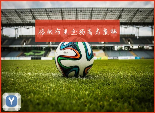 格纳布里全场高光集锦