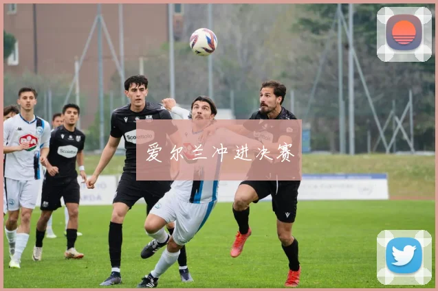 爱尔兰冲进决赛