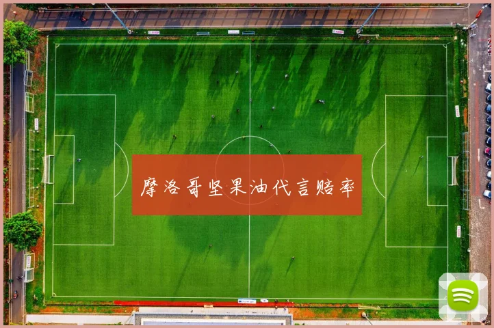 摩洛哥坚果油代言赔率