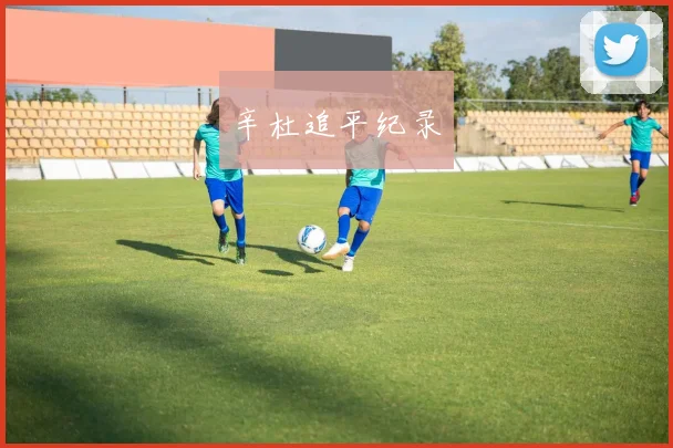 辛杜追平纪录