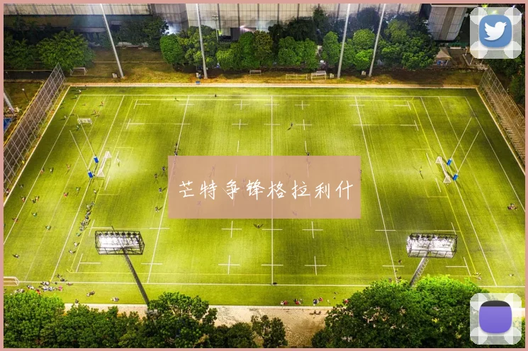 芒特争锋格拉利什