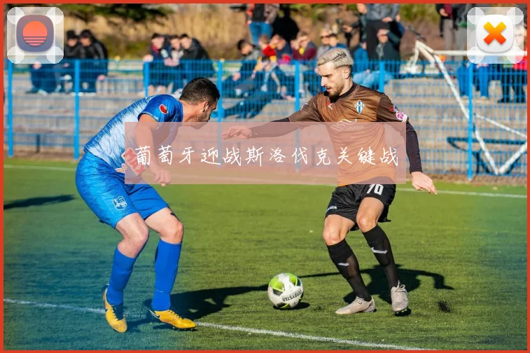 葡萄牙迎战斯洛伐克关键战