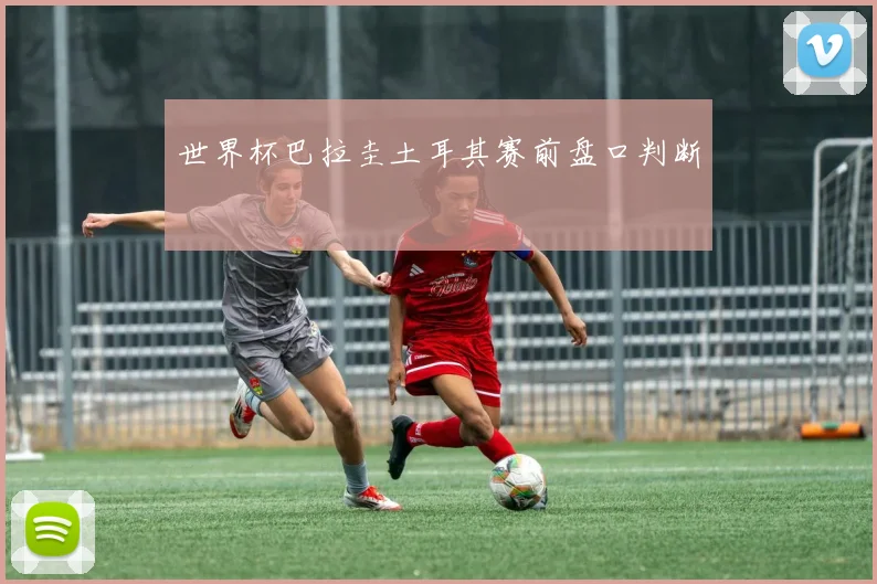世界杯巴拉圭土耳其赛前盘口判断