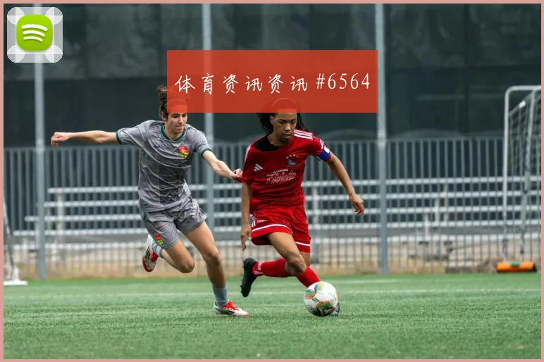 新西兰vs埃及2026世界杯第三名形势