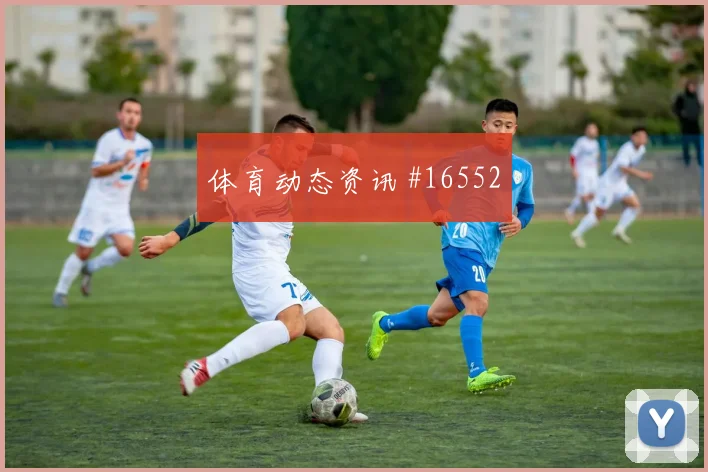 6月26日比利时vs新西兰淘汰赛前景