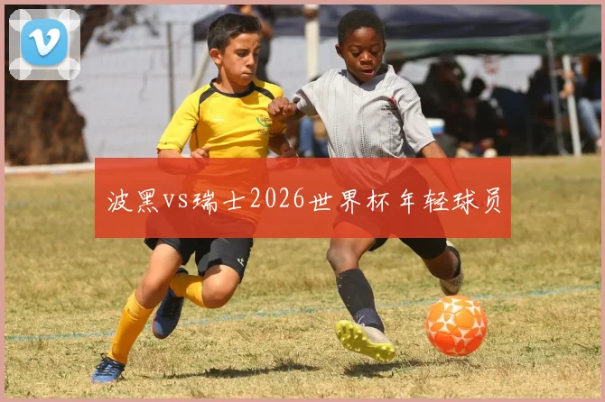 波黑vs瑞士2026世界杯年轻球员