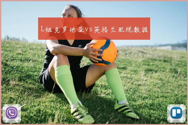 L组克罗地亚vs英格兰犯规数据