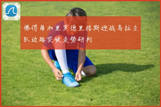 佛得角加里罗德里格斯迎战乌拉圭队边路突破走势研判