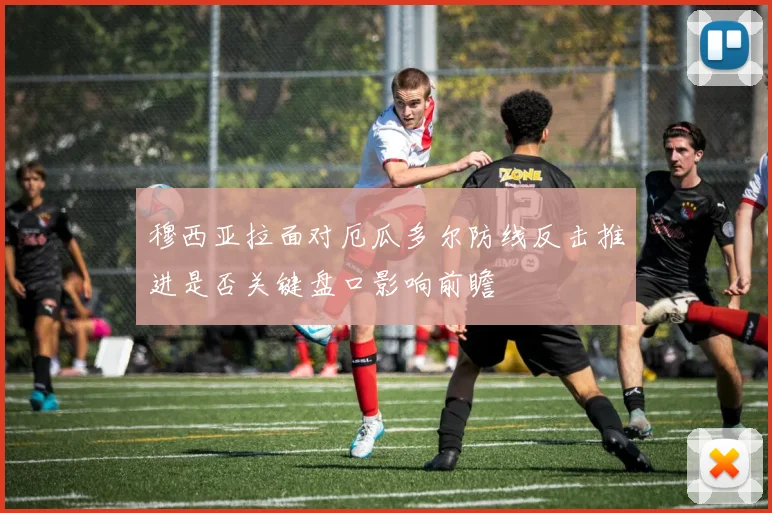 穆西亚拉面对厄瓜多尔防线反击推进是否关键盘口影响前瞻